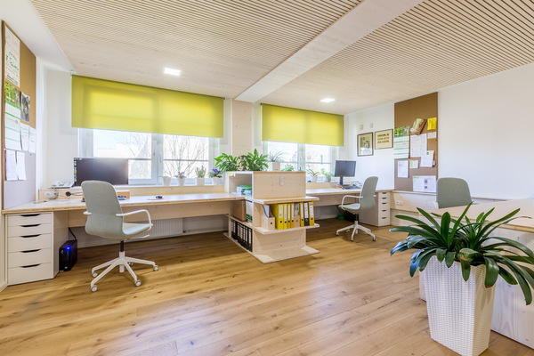 Office Renovation H&V, CLT wooden panels and accoustic ceiling
